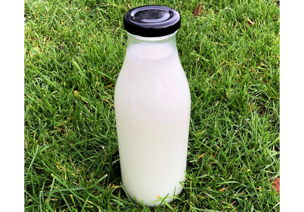 500ml Glass Milk Bottles with RTO cap